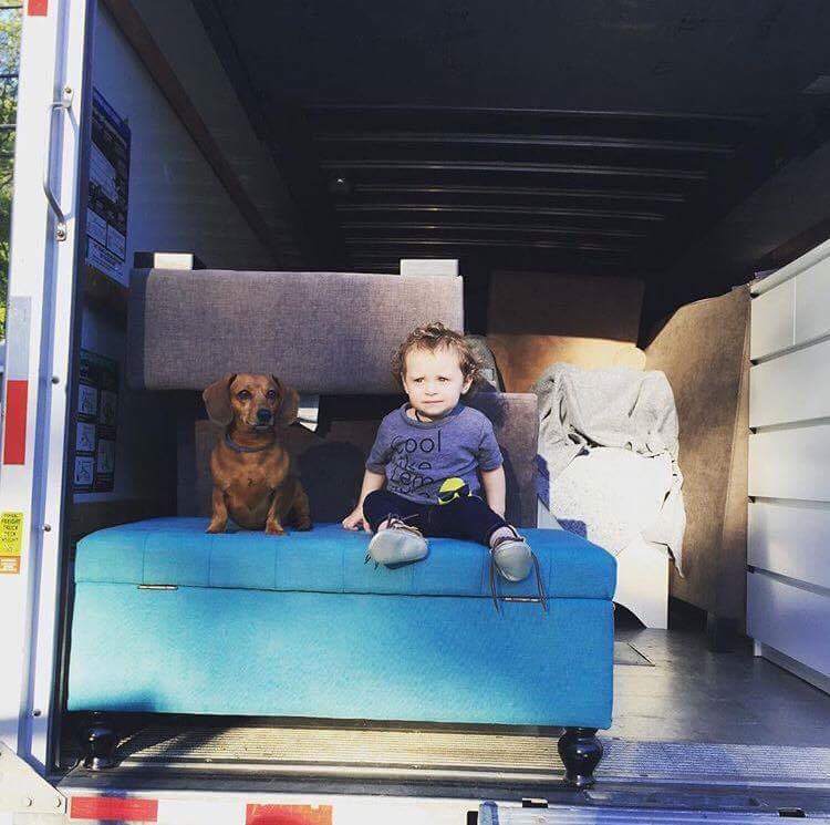 Looking skeptical in the moving truck! 